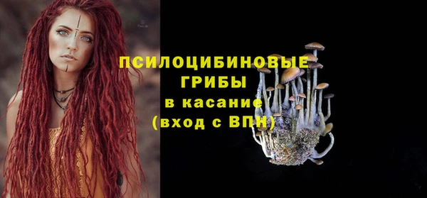 ALPHA-PVP Елизово