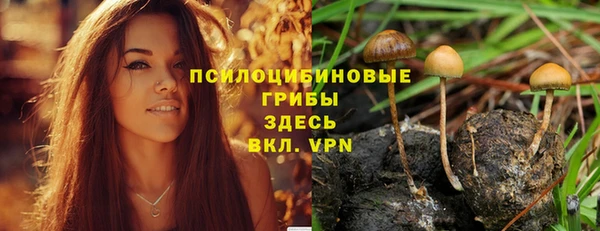 ALPHA-PVP Елизово
