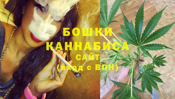 дурь Елабуга