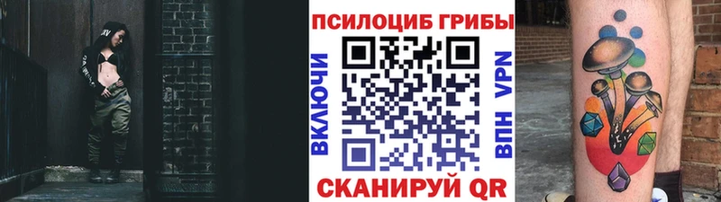 Галлюциногенные грибы Psilocybine cubensis  Сызрань 